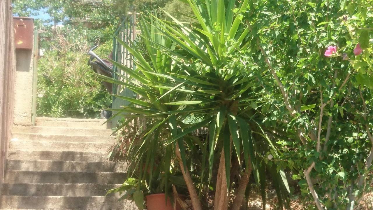 Frane Apartment Zavalatica Bagian luar foto